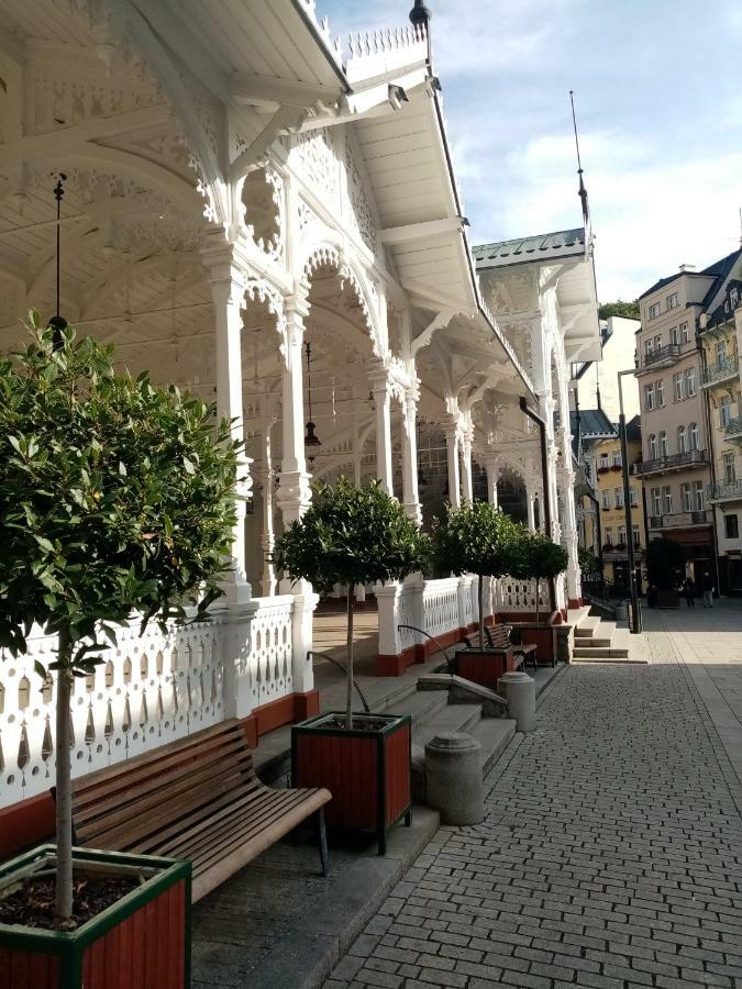 Apartamento Apartmán Orchidej u Vřídla Karlovy Vary Exterior foto